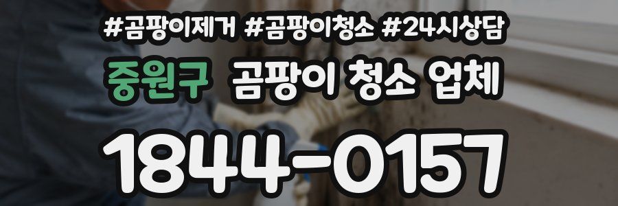 중원구 곰팡이 청소 업체