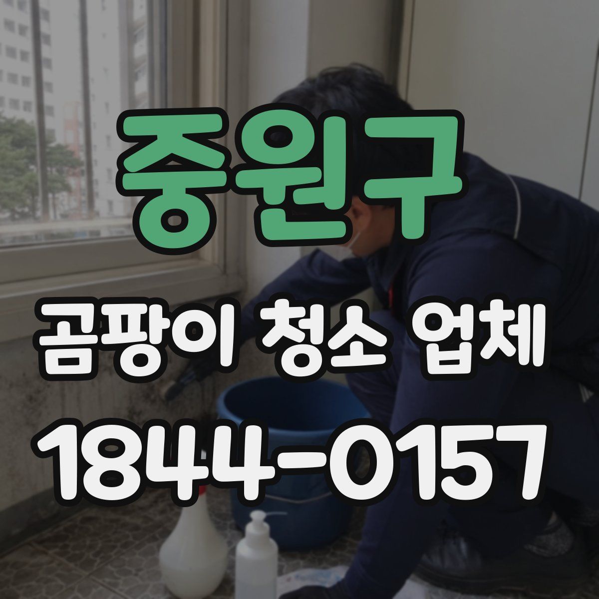 중원구 곰팡이 청소 업체