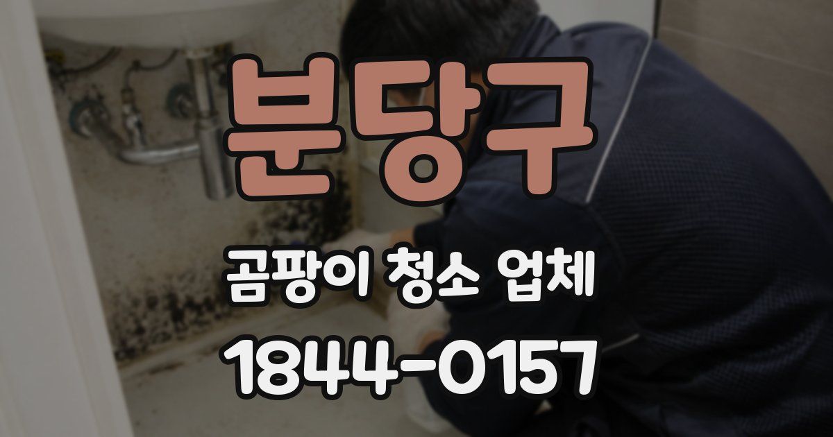 분당구 곰팡이 청소 업체