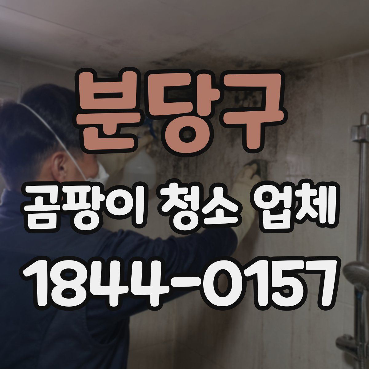 분당구 곰팡이 청소 업체