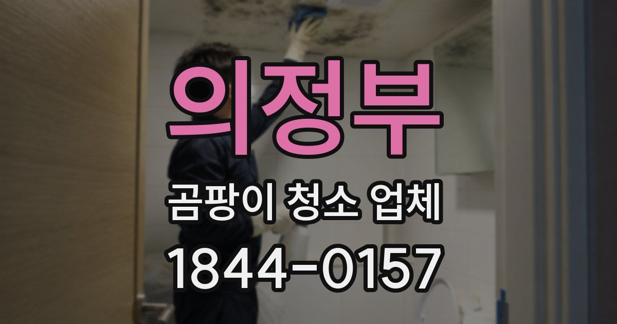 의정부 곰팡이 청소 업체