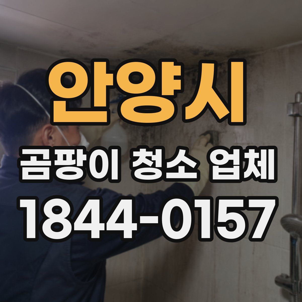 안양시 곰팡이 청소 업체