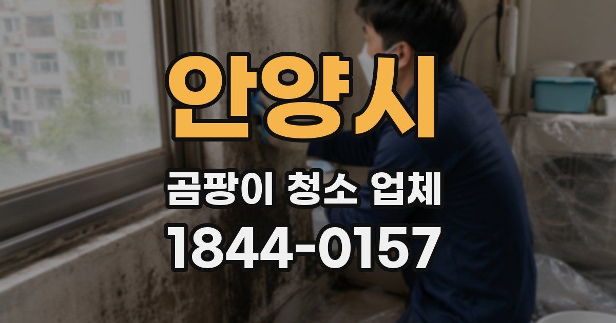 안양시 곰팡이 청소 업체