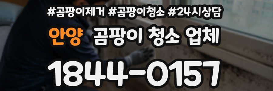 안양 곰팡이 청소 업체