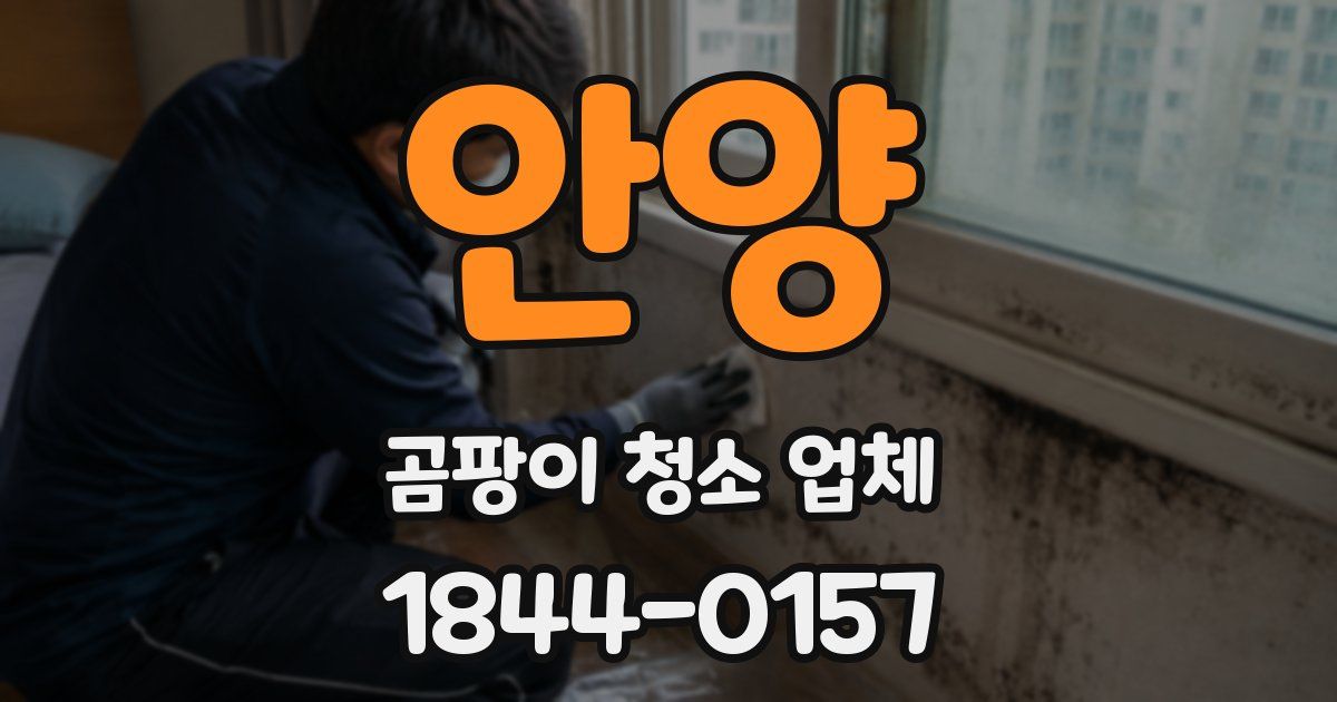 안양 곰팡이 청소 업체