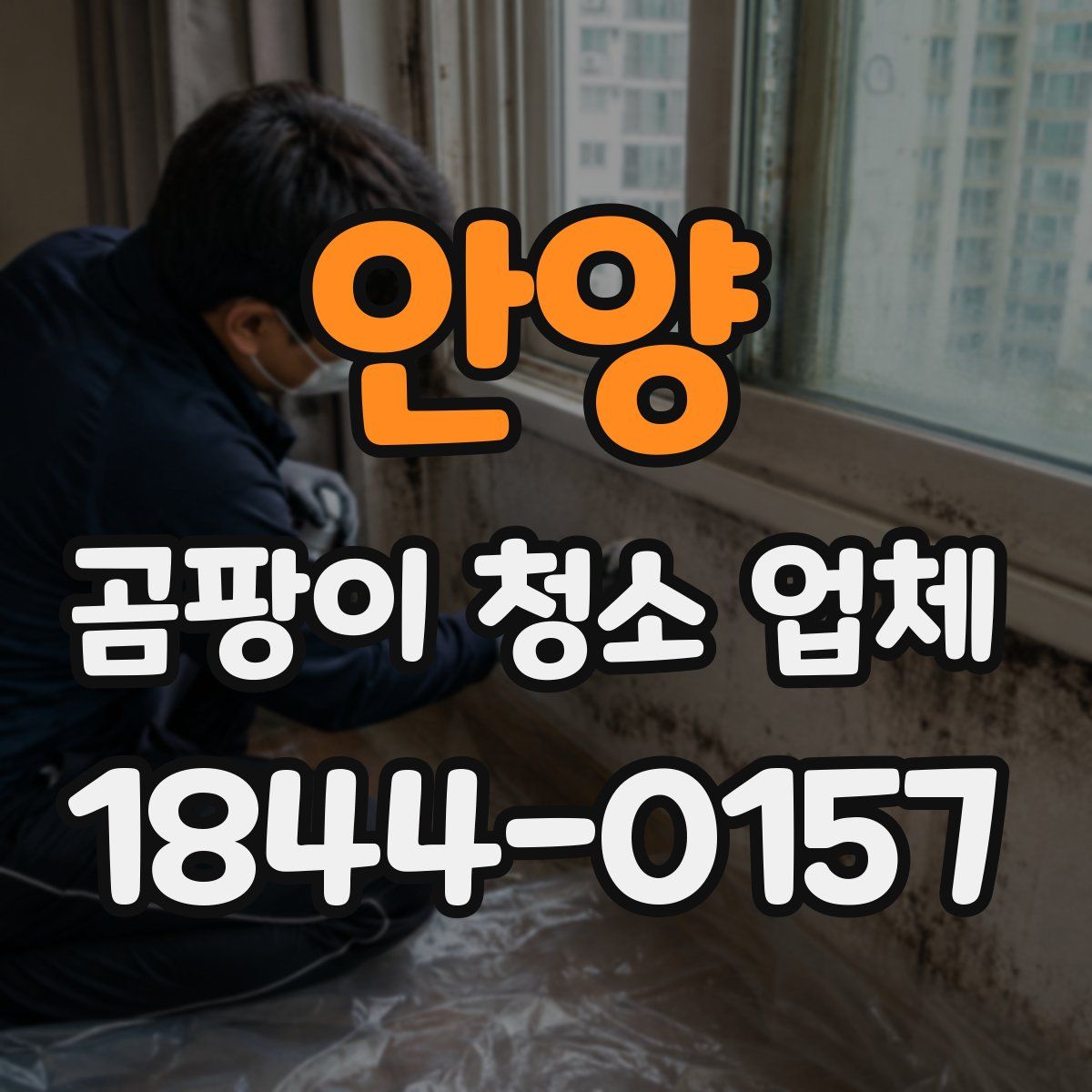 안양 곰팡이 청소 업체