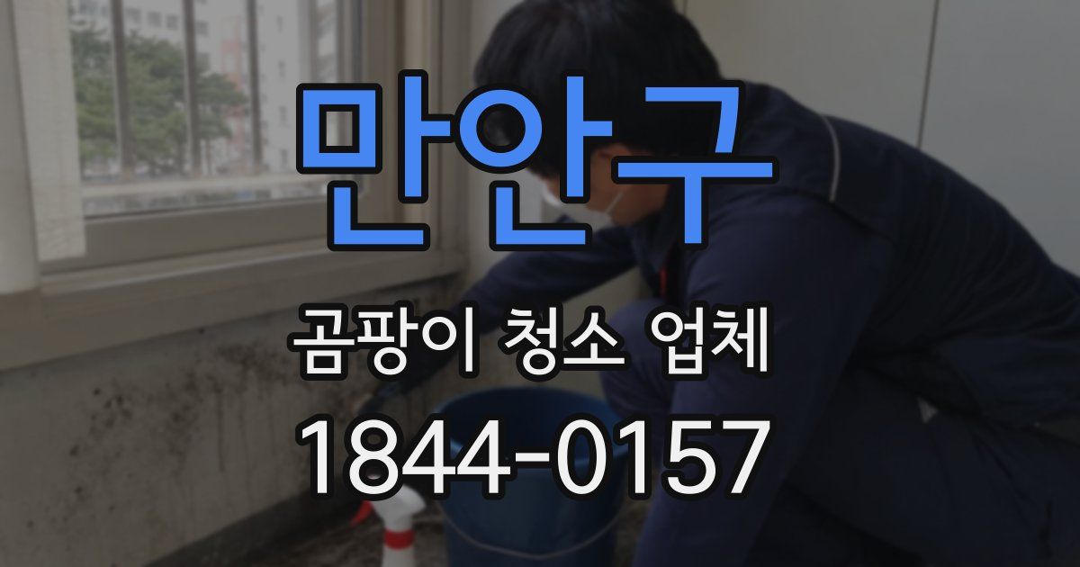 만안구 곰팡이 청소 업체