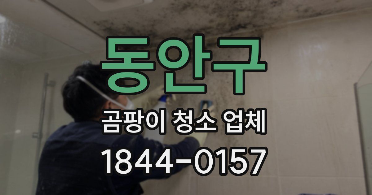 동안구 곰팡이 청소 업체