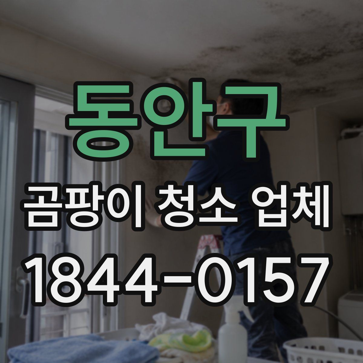 동안구 곰팡이 청소 업체