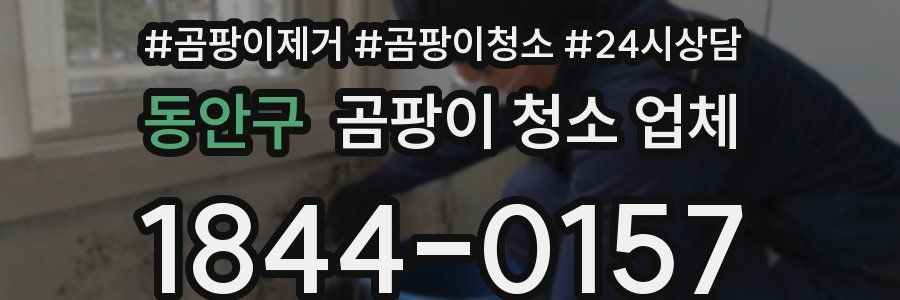 동안구 곰팡이 청소 업체