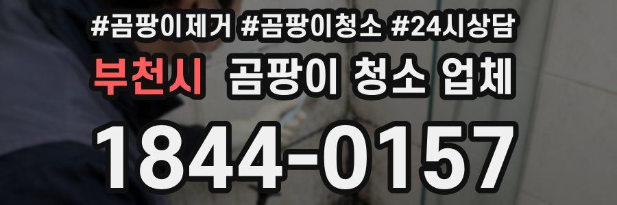 부천시 곰팡이 청소 업체