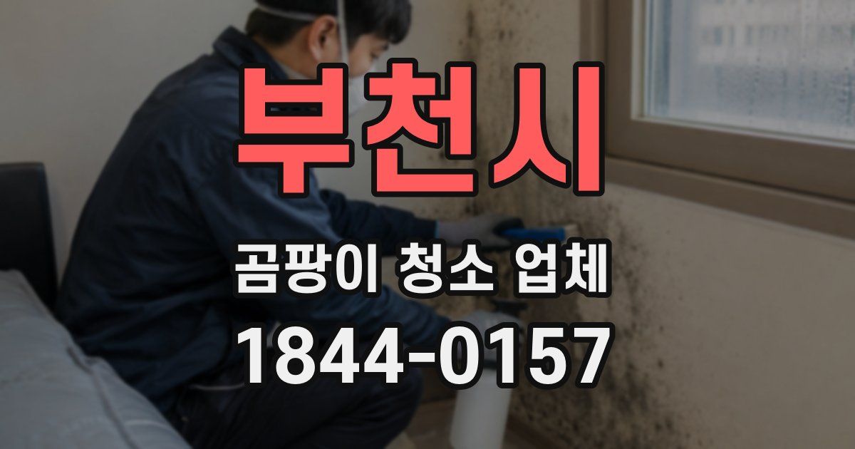 부천시 곰팡이 청소 업체