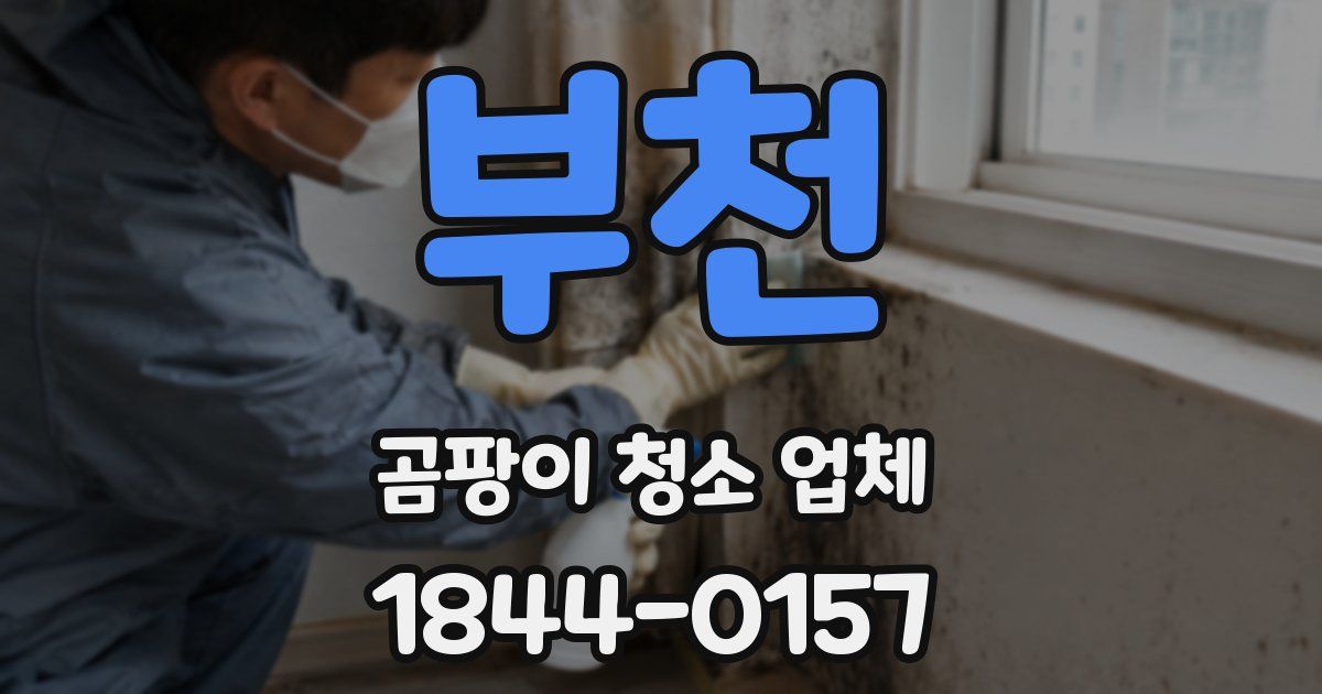 부천 곰팡이 청소 업체