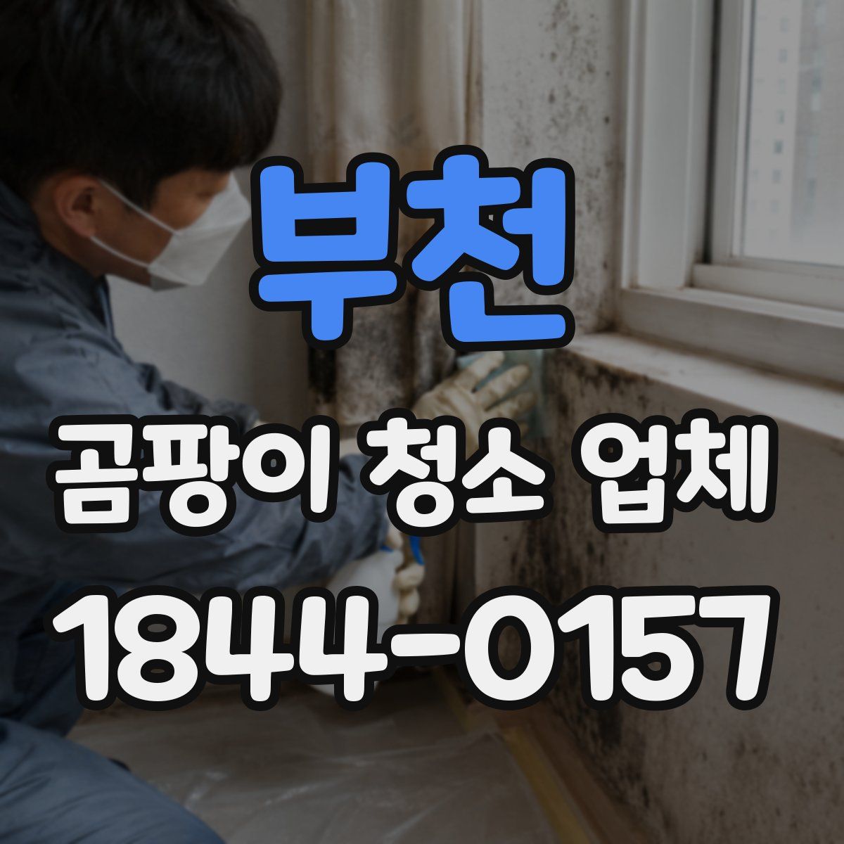 부천 곰팡이 청소 업체