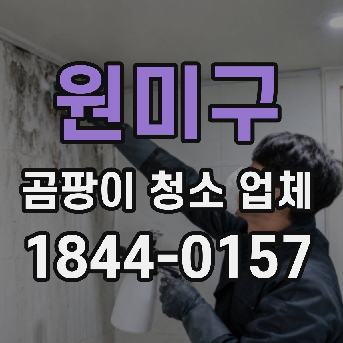 원미구 곰팡이 청소 업체 숨은 오염을 찾는 점검 순서