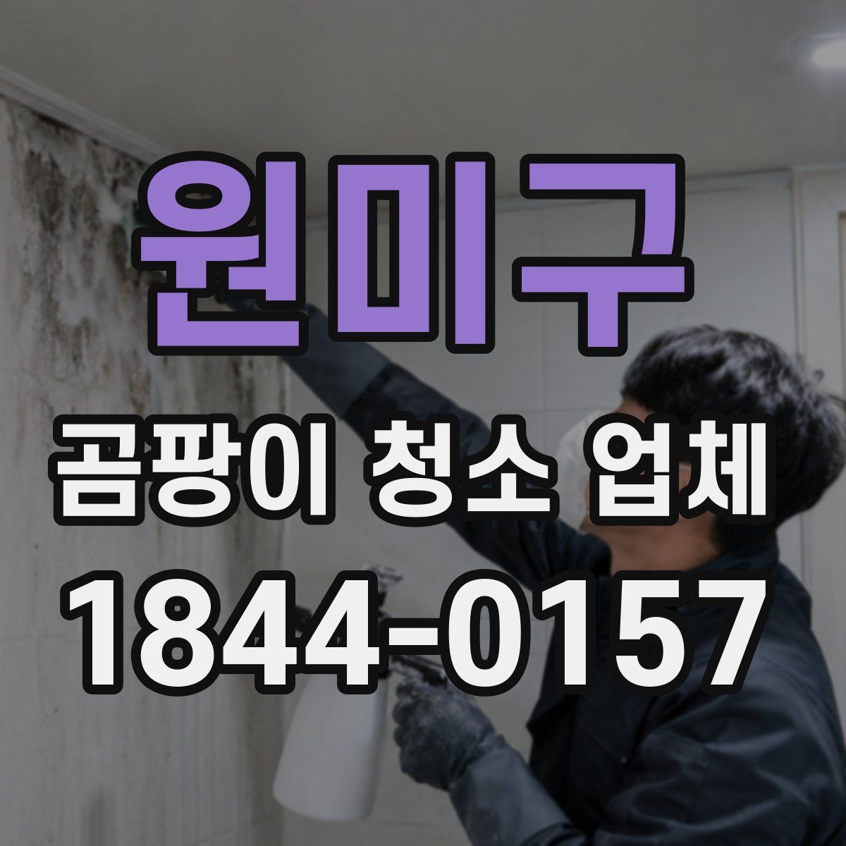 원미구 곰팡이 청소 업체