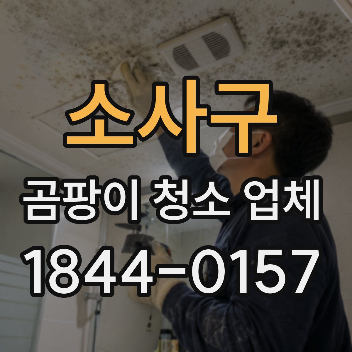 소사구 곰팡이 청소 업체