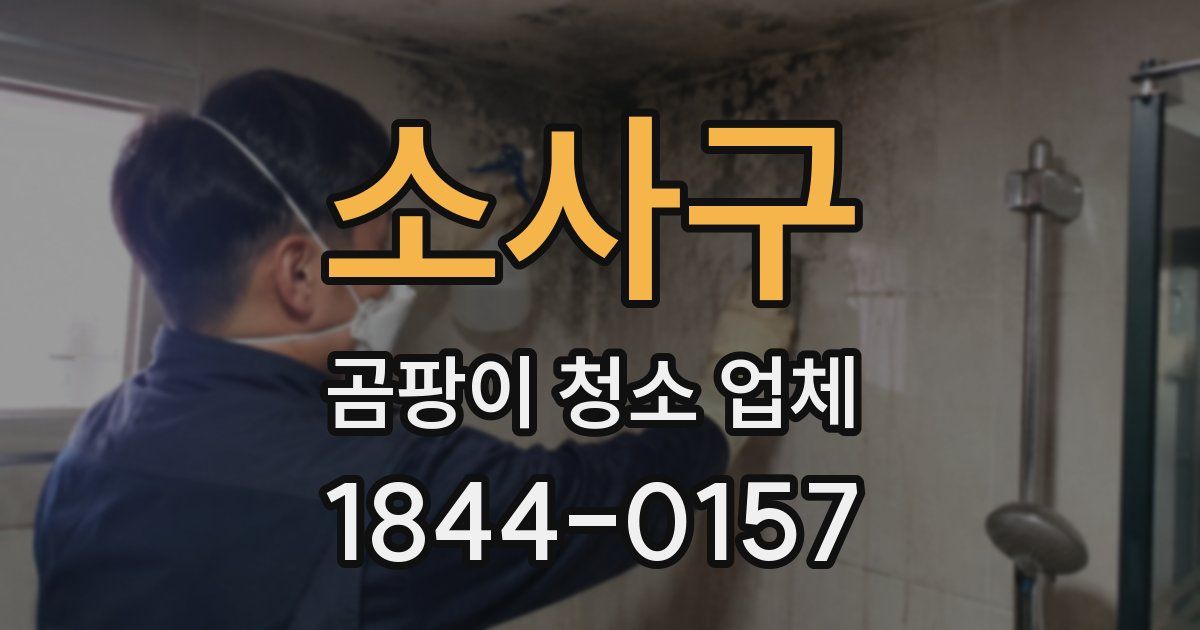 소사구 곰팡이 청소 업체
