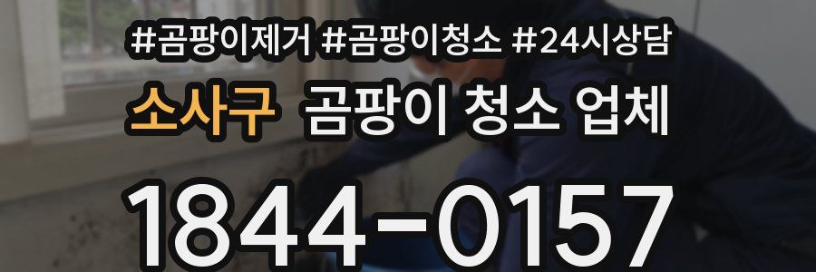 소사구 곰팡이 청소 업체