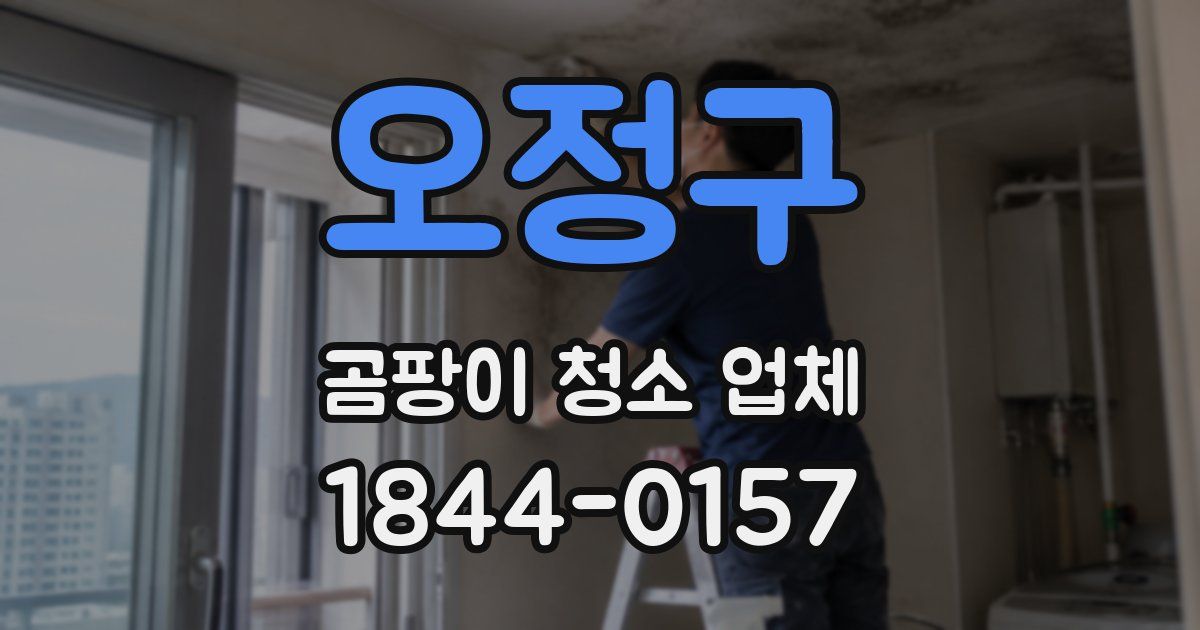 오정구 곰팡이 청소 업체