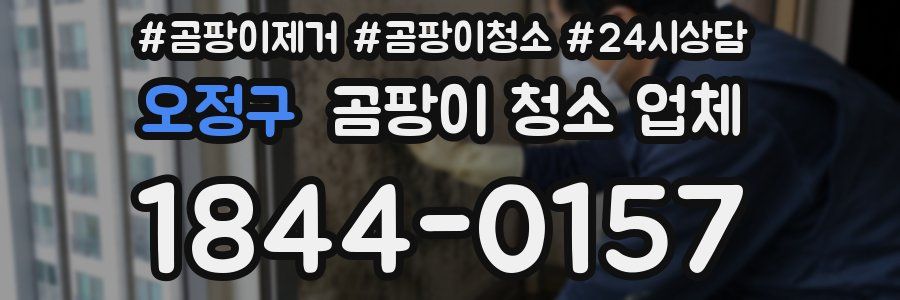 오정구 곰팡이 청소 업체