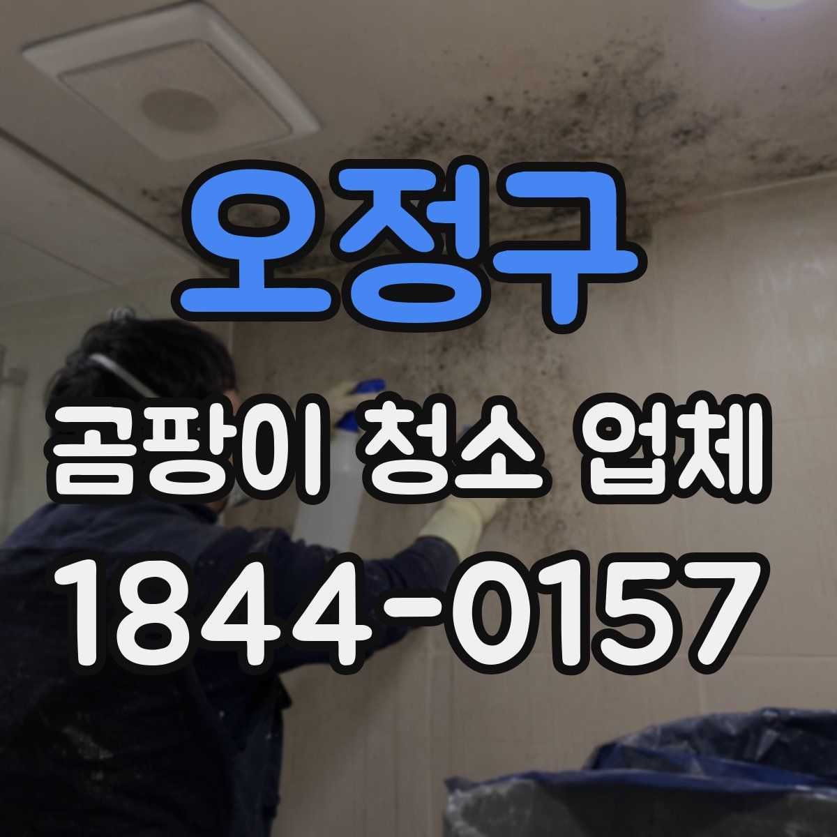 오정구 곰팡이 청소 업체