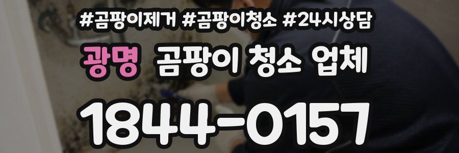 광명 곰팡이 청소 업체