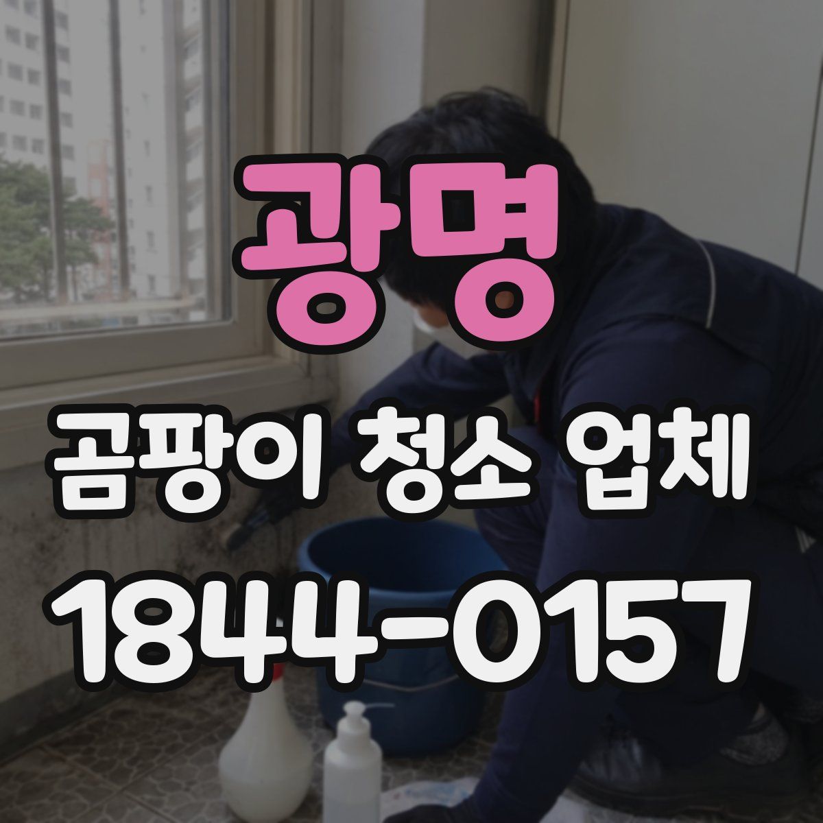 광명 곰팡이 청소 업체
