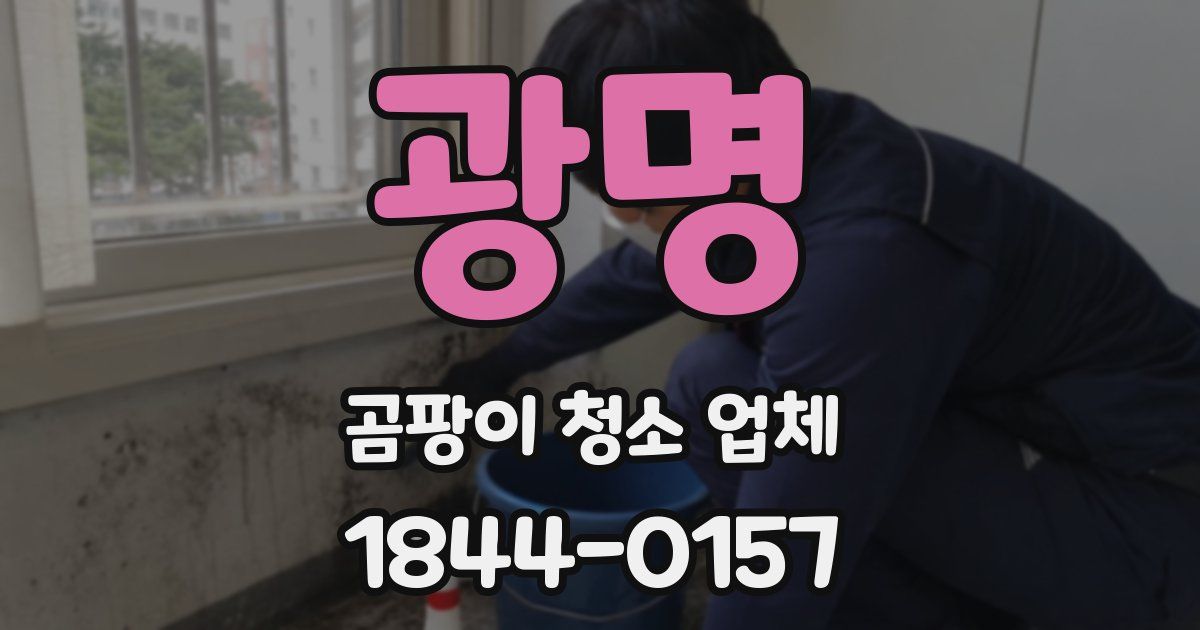 광명 곰팡이 청소 업체