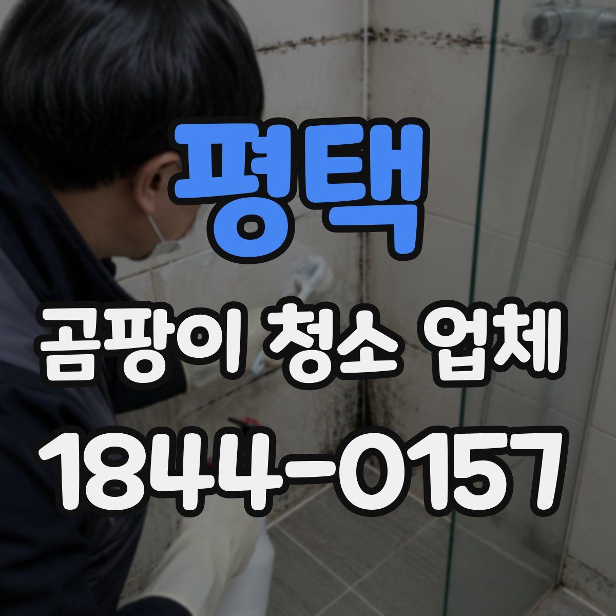 평택 곰팡이 청소 업체