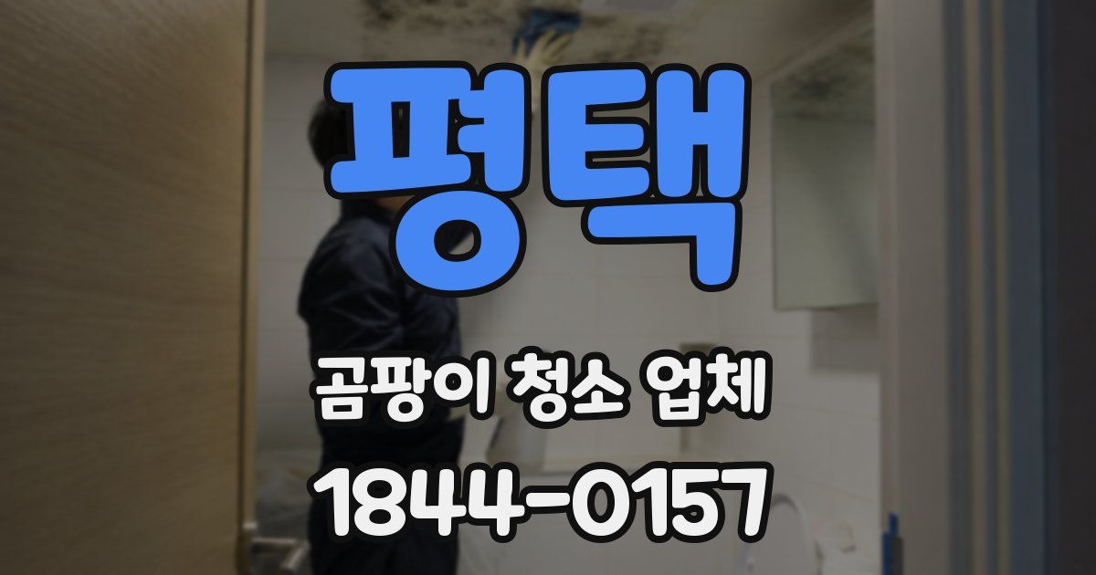 평택 곰팡이 청소 업체