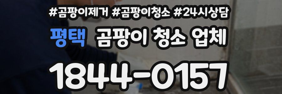 평택 곰팡이 청소 업체