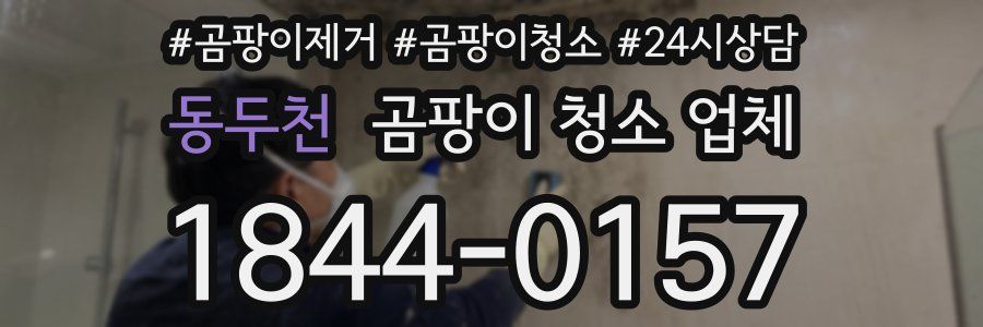 동두천 곰팡이 청소 업체