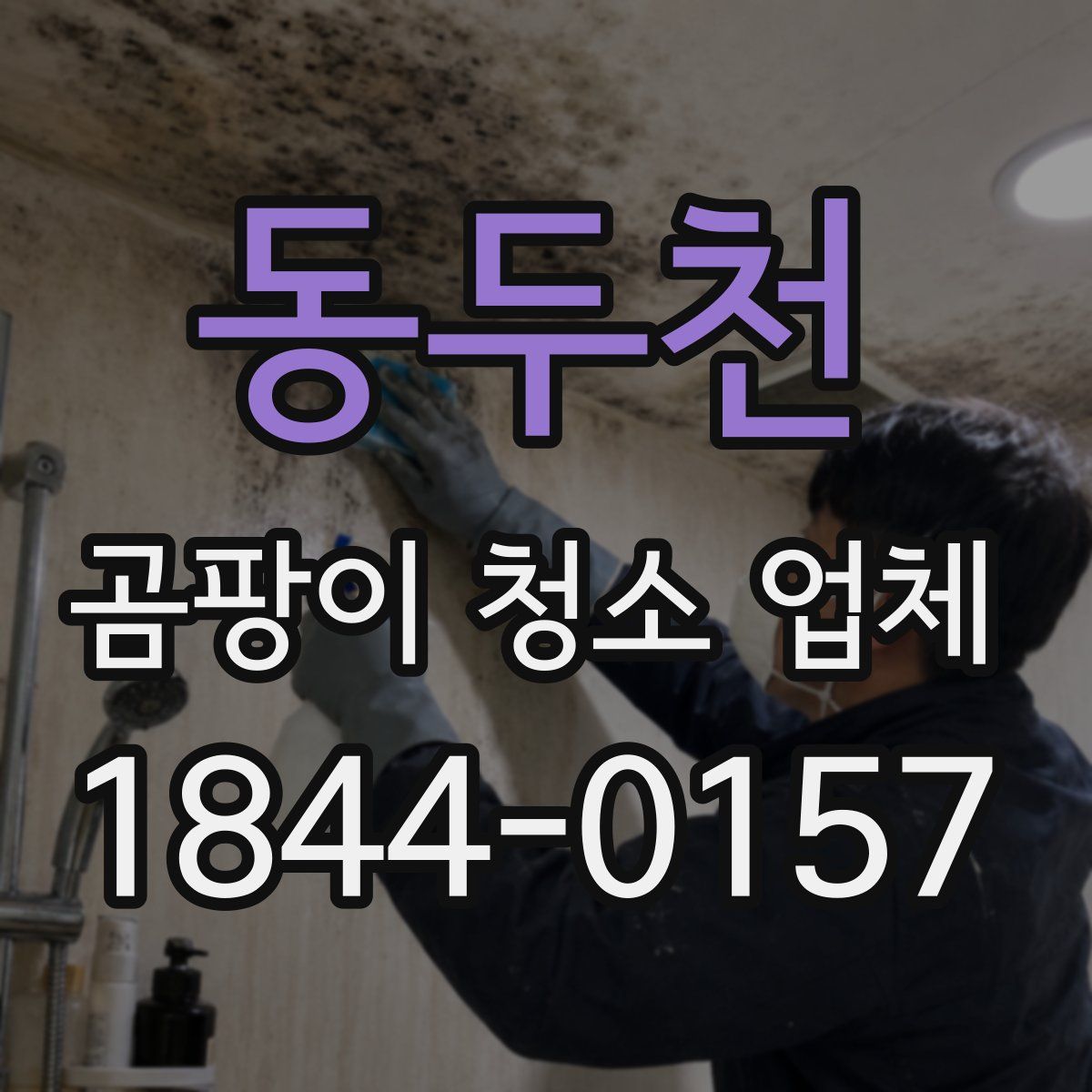 동두천 곰팡이 청소 업체