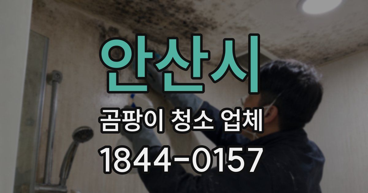안산시 곰팡이 청소 업체