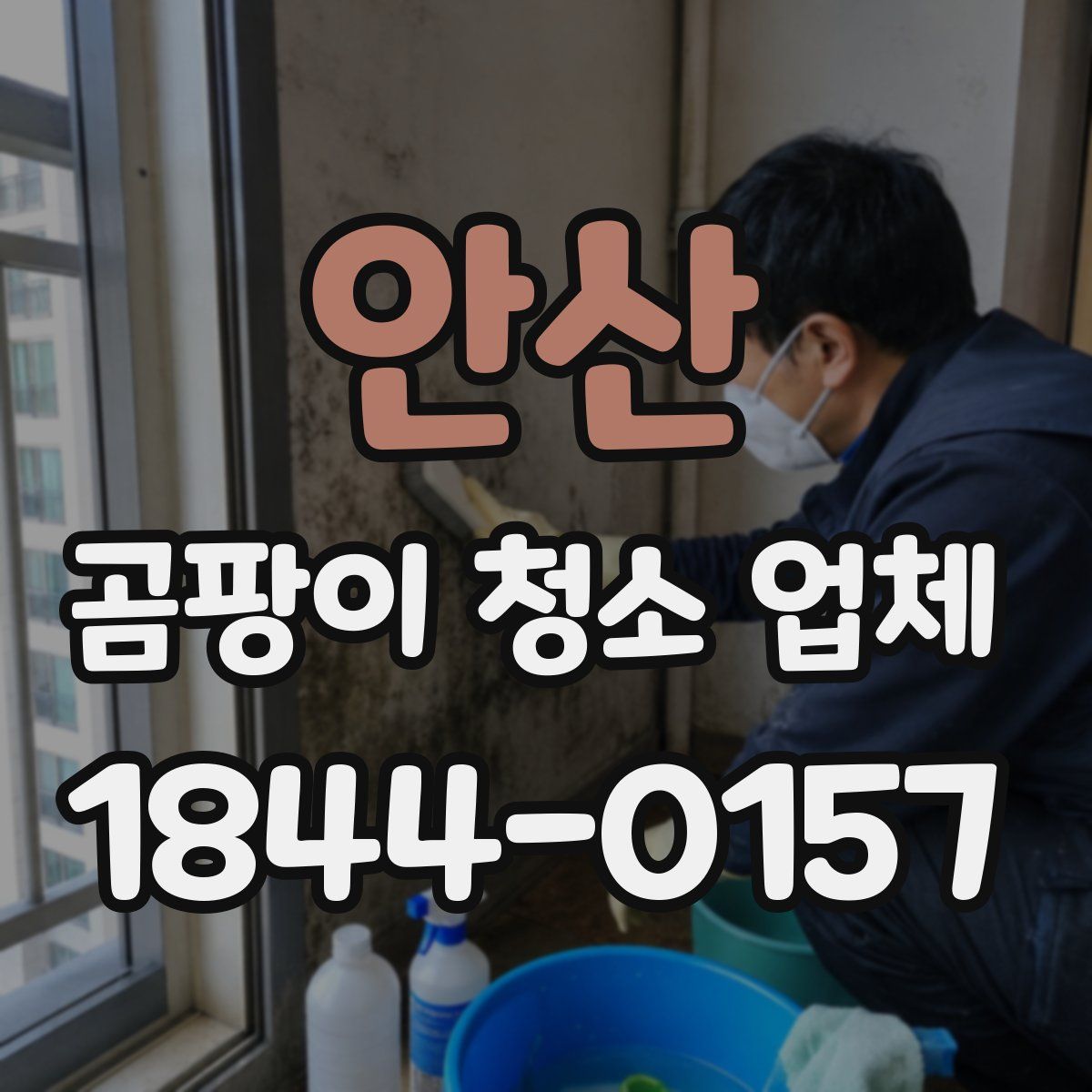 안산 곰팡이 청소 업체