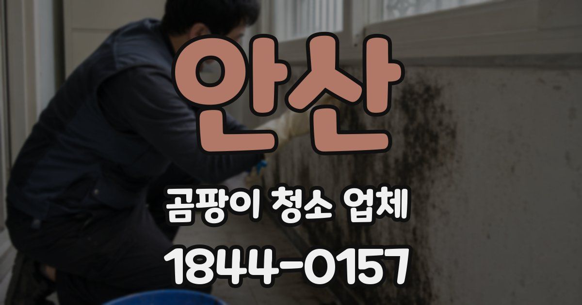 안산 곰팡이 청소 업체