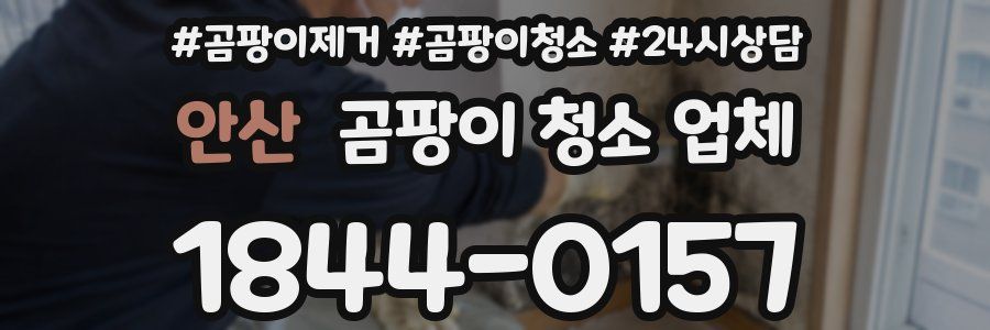 안산 곰팡이 청소 업체