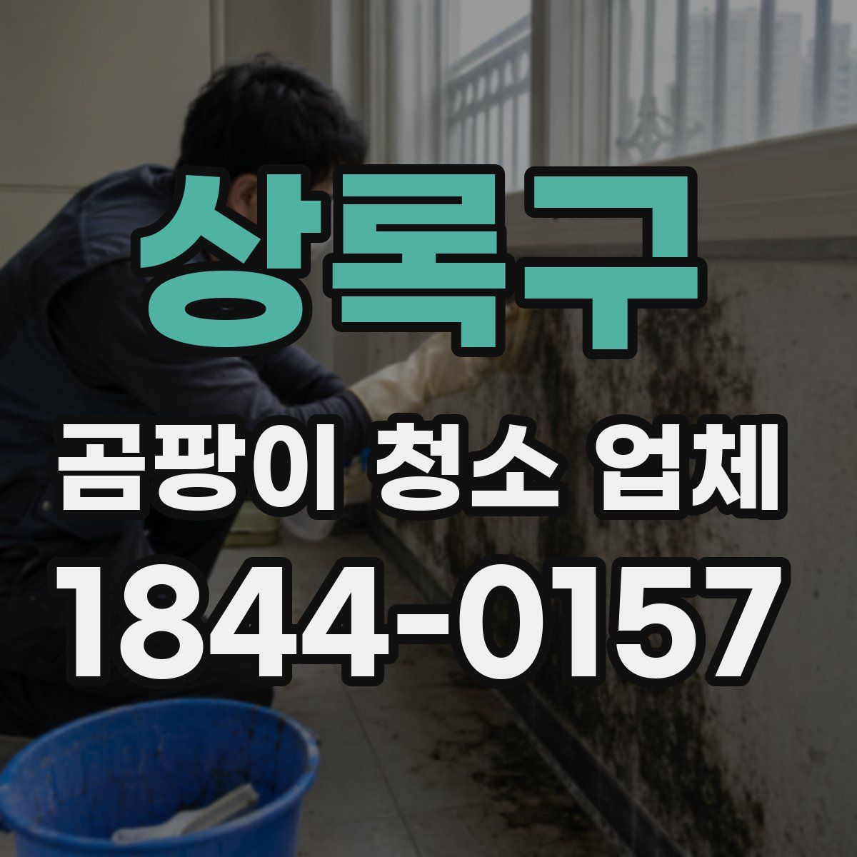 상록구 곰팡이 청소 업체