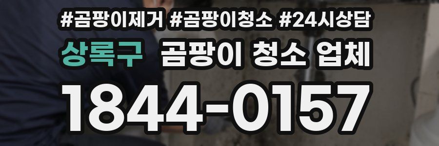 상록구 곰팡이 청소 업체