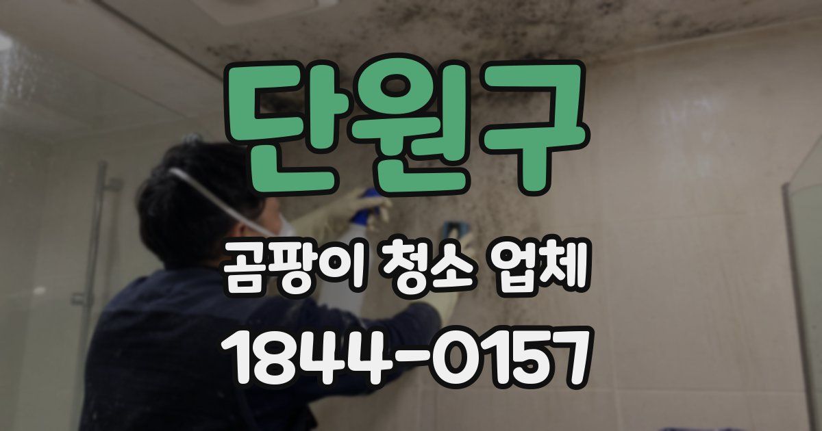 단원구 곰팡이 청소 업체