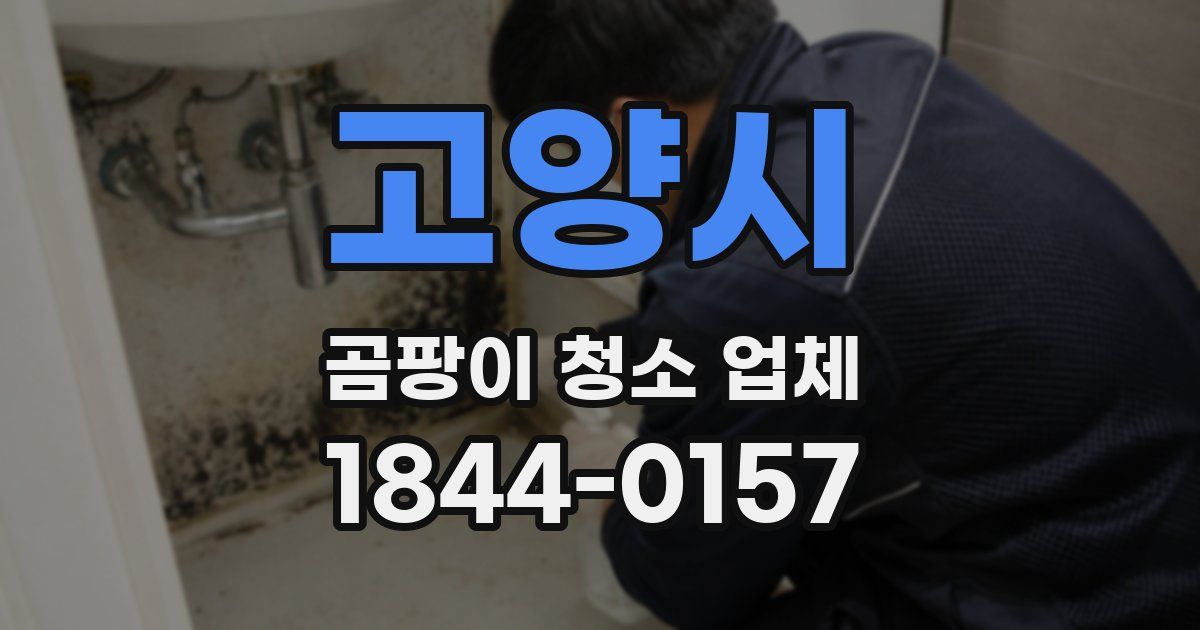 고양시 곰팡이 청소 업체