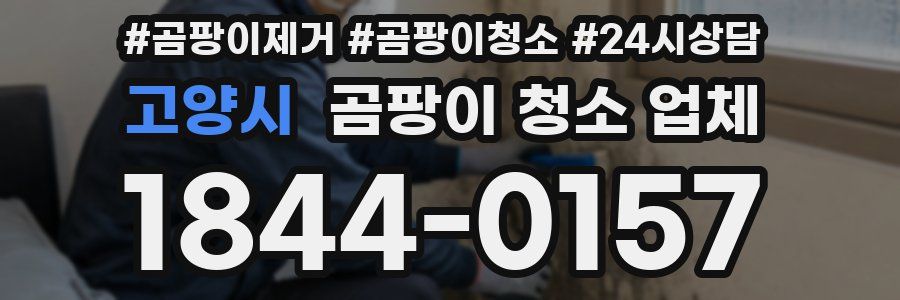 고양시 곰팡이 청소 업체