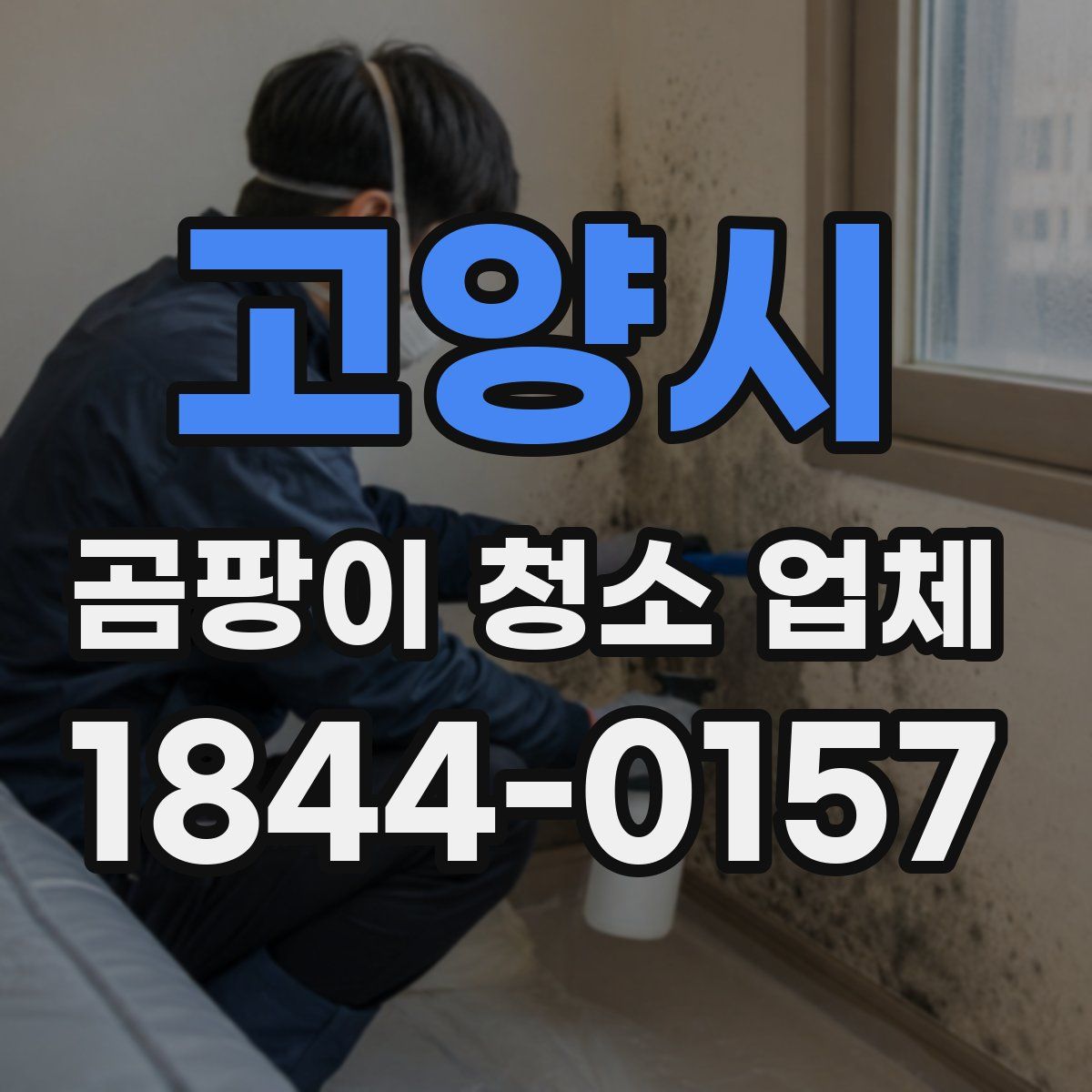 고양시 곰팡이 청소 업체