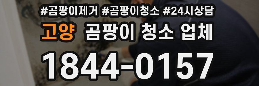 고양 곰팡이 청소 업체