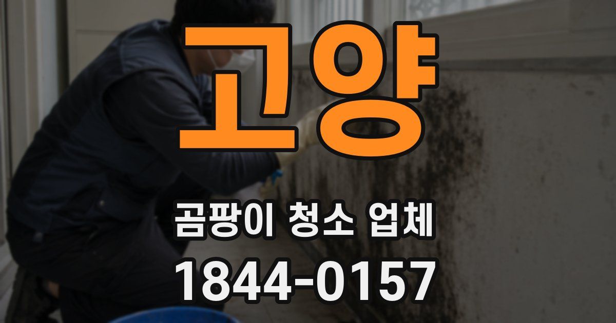 고양 곰팡이 청소 업체