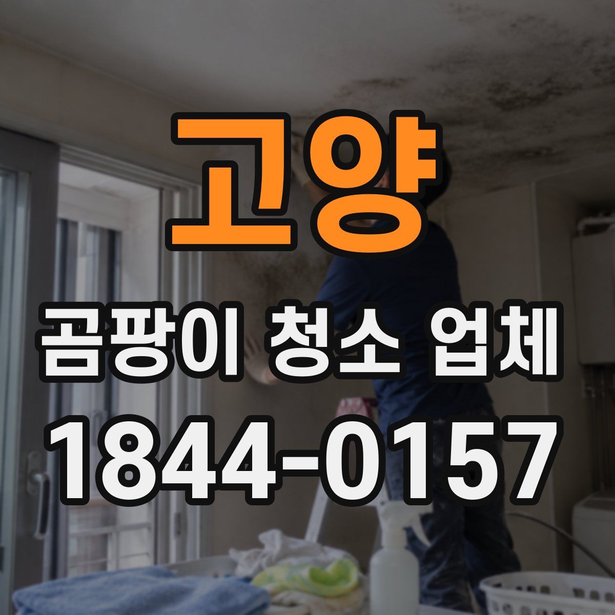 고양 곰팡이 청소 업체