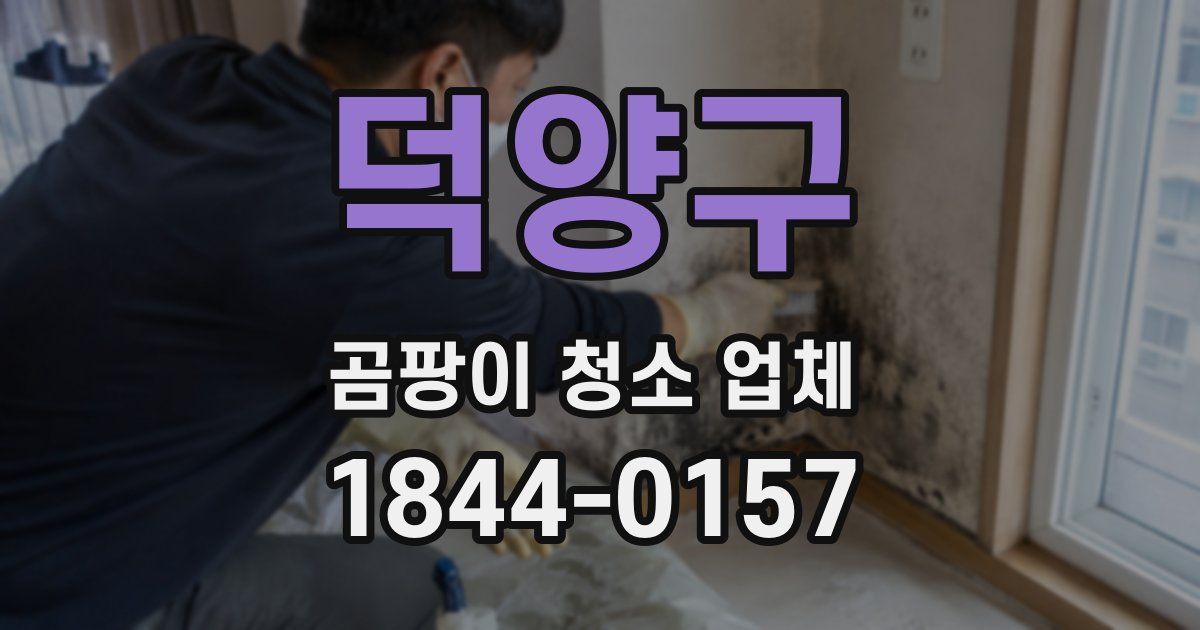 덕양구 곰팡이 청소 업체