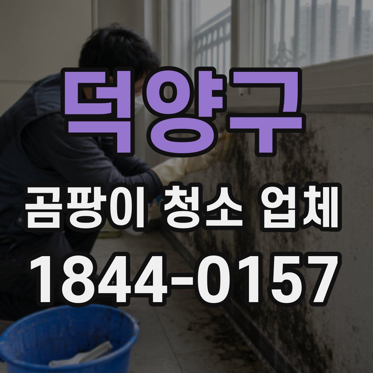 덕양구 곰팡이 청소 업체