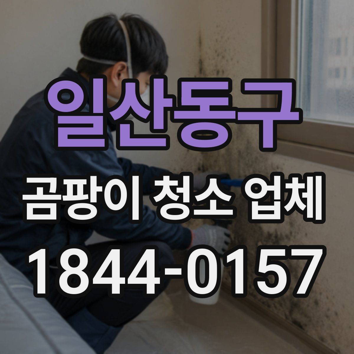 일산동구 곰팡이 청소 업체 번식 환경을 막는 실내 습도 관리법